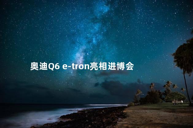 奥迪Q6 e-tron亮相进博会